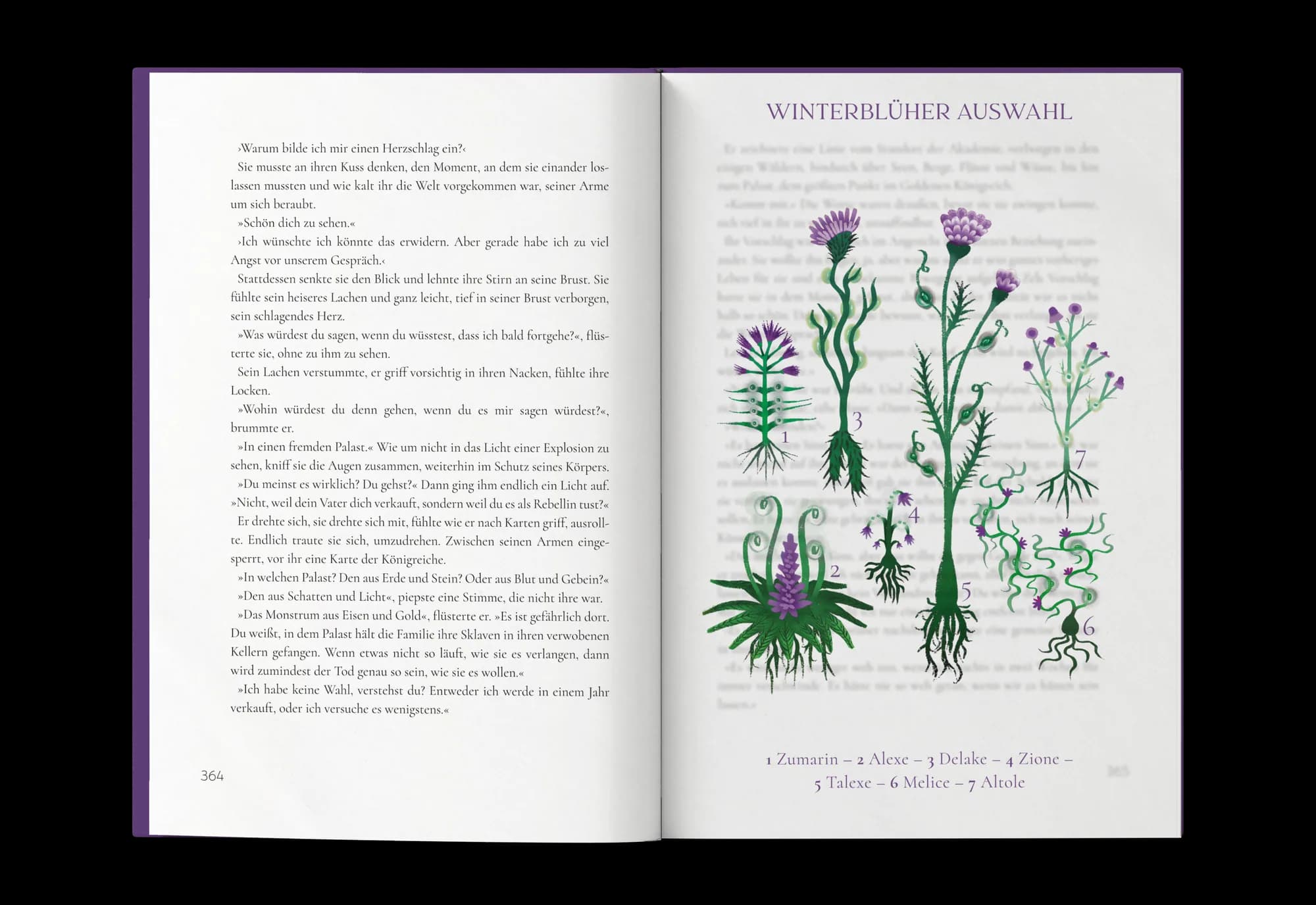 Kapiteleinstieg der Buchgestaltung „Silberfeder“: botanische Illustration mit lila Distelblüten und feiner Serifentypografie
