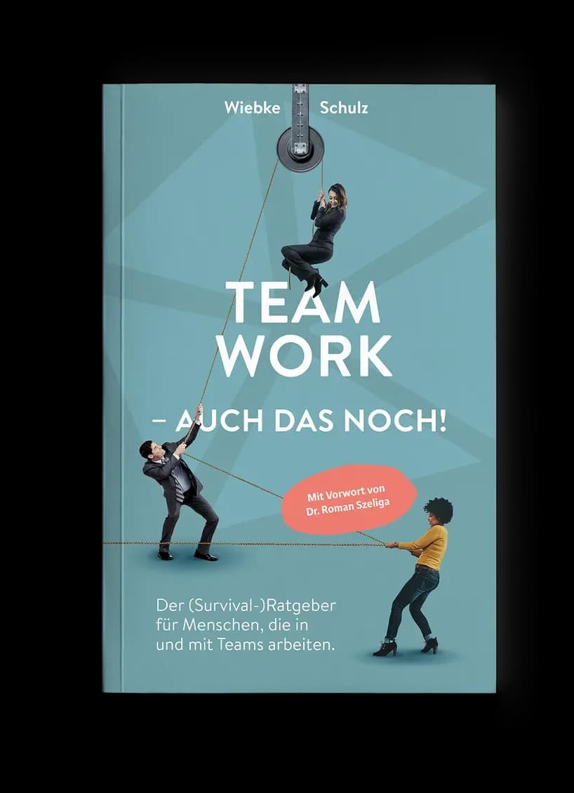 Sachbuch-Cover „Teamwork – auch das noch!“: drei Menschen ziehen an einem Seil über eine Umlenkrolle, petrolfarbener Grund, humorvoll-dynamisch